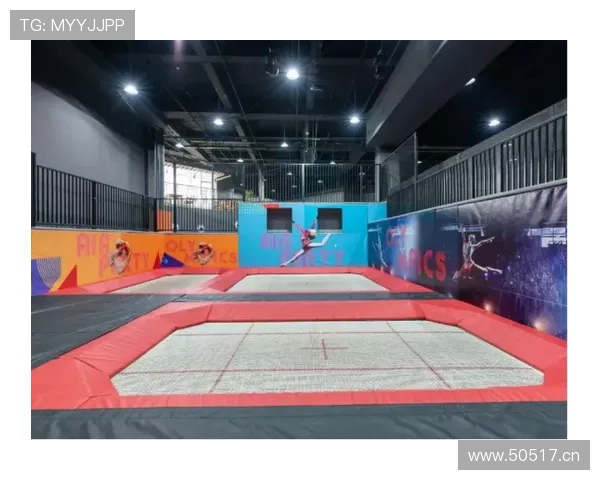 乐动体育蹦床的最新款式与设计趋势，满足不同用户的个性化运动需求